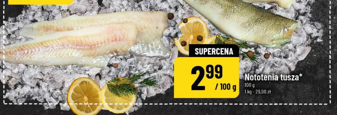 Nototenia tusza promocja w POLOmarket