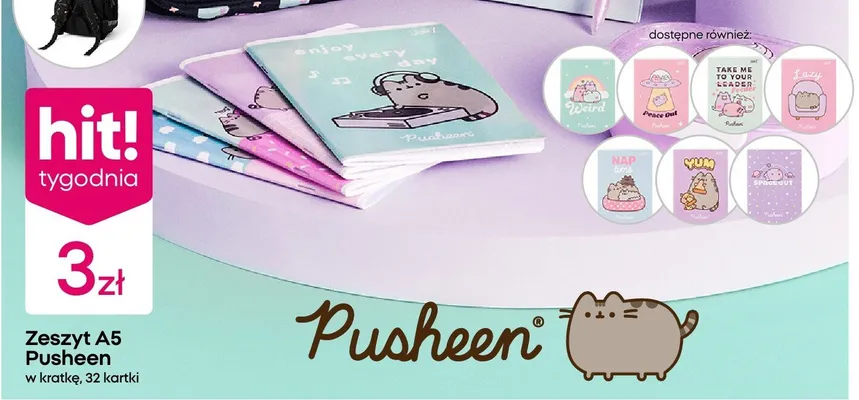 Zeszyt A5 Pusheen promocja w Pepco