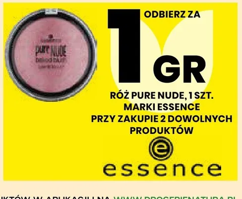 Róż Essence Pure Nude promocja w Drogerie Natura