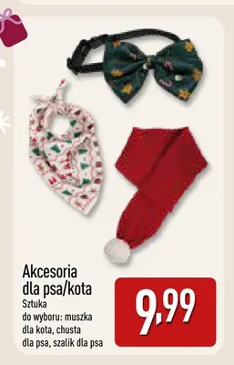 Muszka dla kota promocja w Aldi