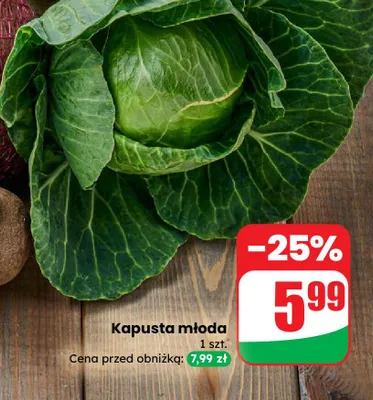 Kapusta młoda promocja w Dino