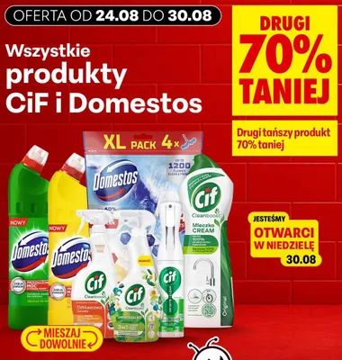 Zawieszka toaletowa Domestos 4-pak promocja w Biedronka