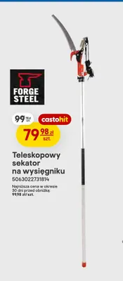 Teleskopowy sekator na wysięgniku Forge Steel promocja w Castorama