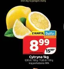 Cytryna promocja w Delfin