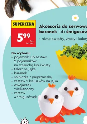 Akcesoria do serwowania, różne kształty wzory i kolory promocja w Biedronka