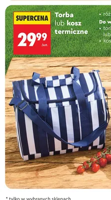 Torba termiczna Clevé promocja w Biedronka