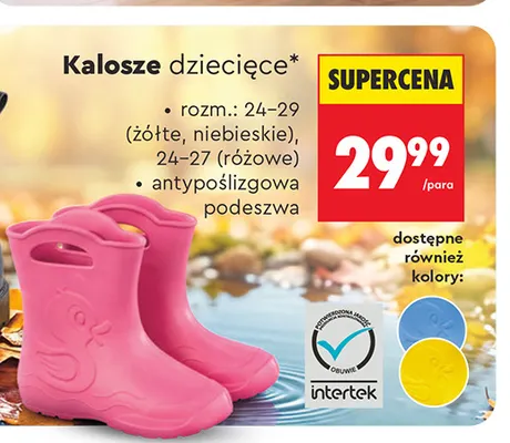 Kalosze dziecięce promocja w Biedronka