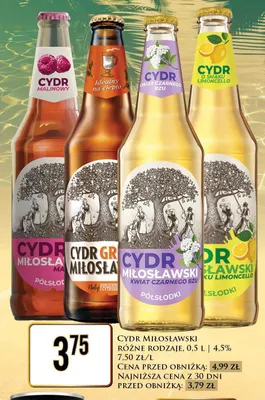 Cydr Miłosławski kwiat czarnego bzu promocja w Dino