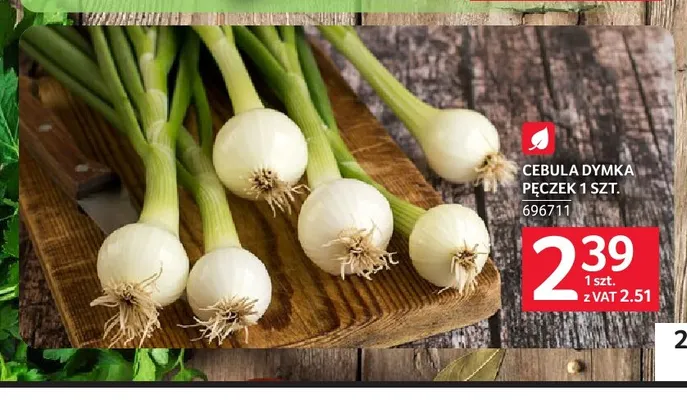 Cebula dymka promocja w Selgros