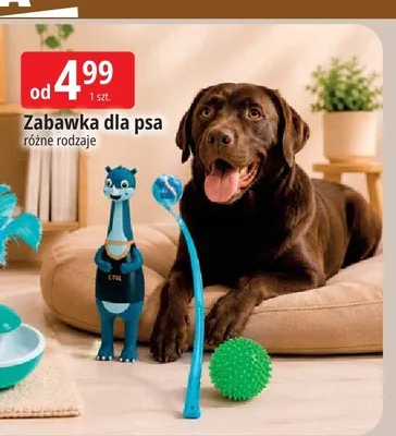 Zabawka dla psa promocja w Leclerc