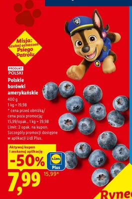 Polskie borówki amerykańskie Ryneczek Lidla promocja w Lidl