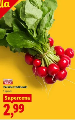 Polskie rzodkiewki promocja w Lidl
