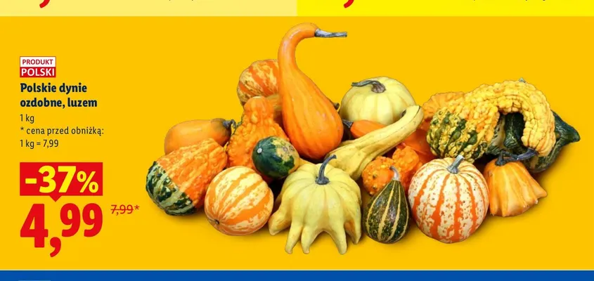 Polskie dynie ozdobne luzem promocja w Lidl