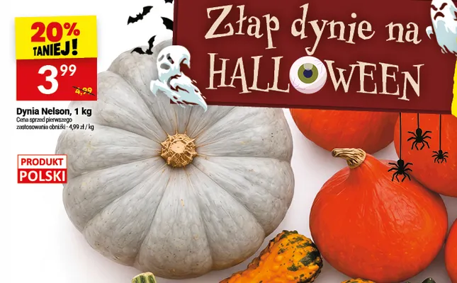 Dynia Nelson promocja w Twój Market