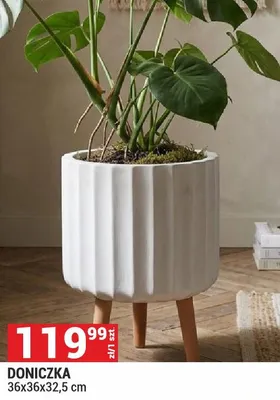 Doniczka promocja w Merkury Market