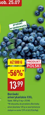 Borówki amerykańskie XXL polskie promocja w Aldi
