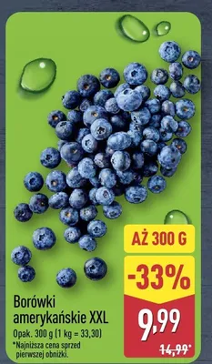 Borówki amerykańskie XXL promocja w Aldi