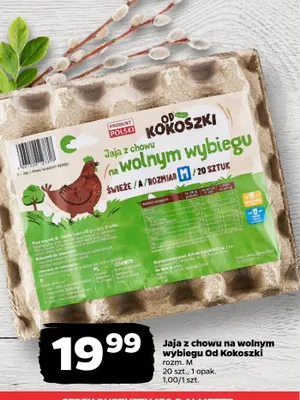 Jaja z chowu na wolnym wybiegu rozmiar M promocja w Netto