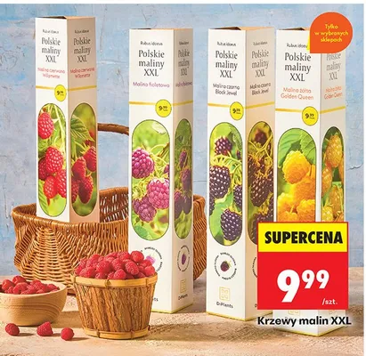 Herbata Polskie maliny malina czerwona w łodydze promocja w Biedronka