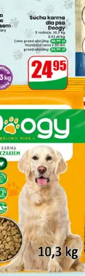 Sucha karma dla psa z kurczakiem Doogy promocja w Dino