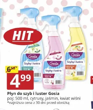 Płyn do szyb i luster Gosia Kwiat Wiśni promocja w Prymus AGD