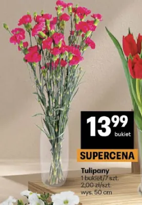 Tulipany promocja w Delikatesy Centrum
