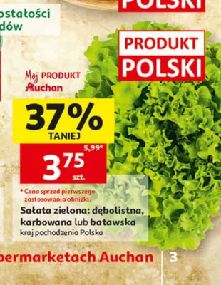 Sałata zielona batawska promocja w Auchan