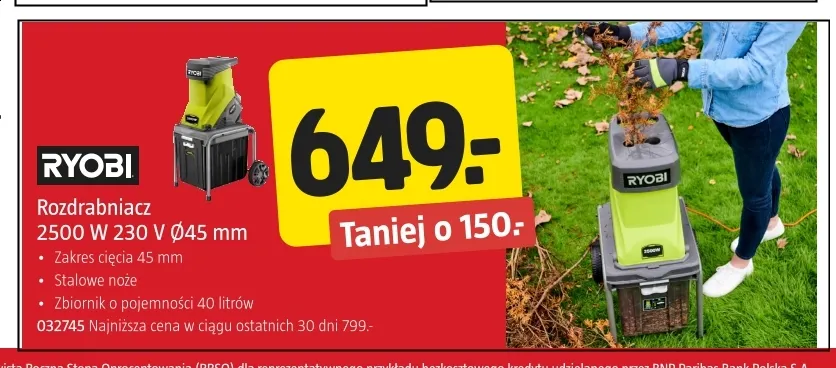 Rozdrabniacz Ø45 mm Ryobi promocja w Jula