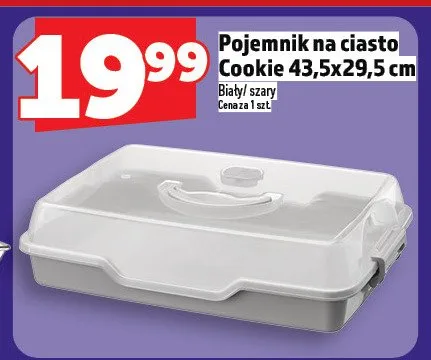Pojemnik na ciasto Cookie 43,5x29,5 cm promocja w TOPAZ