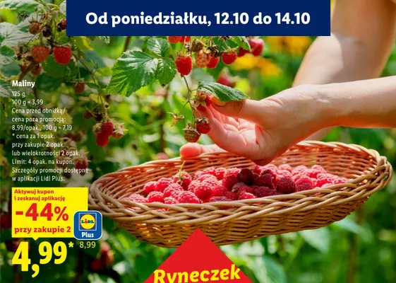 Maliny promocja w Lidl