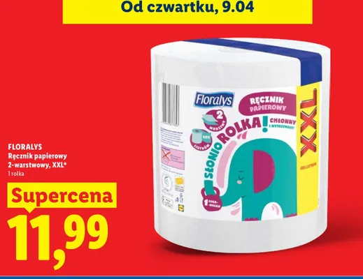 Ręcznik papierowy Liff promocja w Lidl