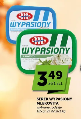 Serek Wypasiony śmietankowy Mlekovita promocja w Euro Sklep