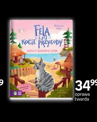 Książka Fela i jej kocie przygody Kotka ze schroniskowych wydm Zielona Sowa promocja w Empik