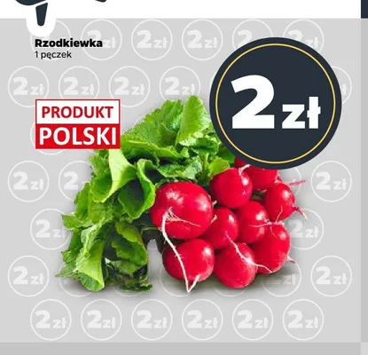Rzodkiewka promocja w Netto