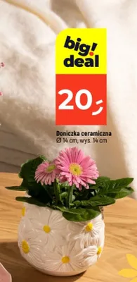 Doniczka ceramiczna promocja w Dealz