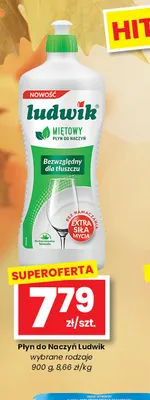 Płyn do naczyń Ludwik promocja w emma MARKET