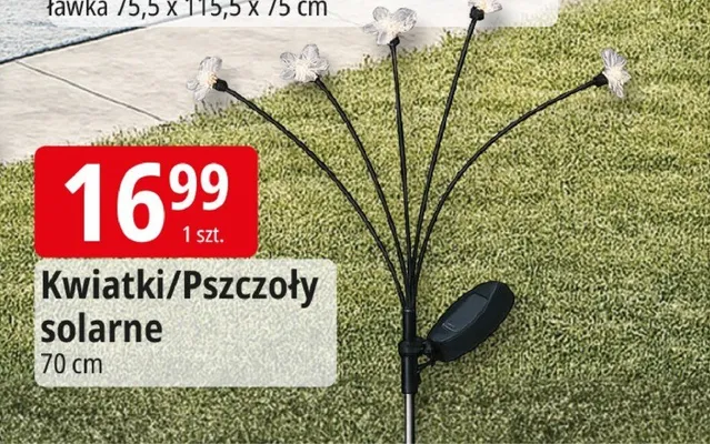 Kwiatki/Pszczoły solarne promocja w Leclerc