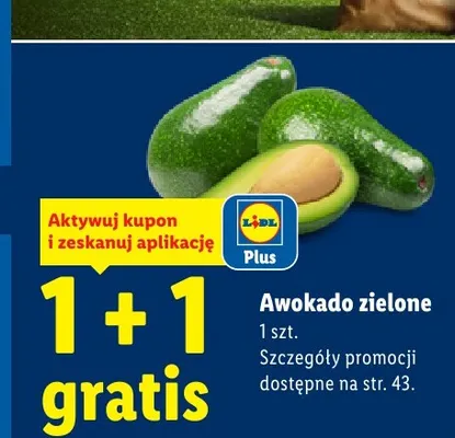 Awokado zielone promocja w Lidl