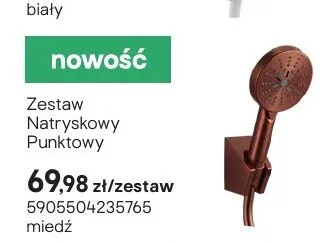Zestaw natryskowy punktowy miedź promocja w Castorama