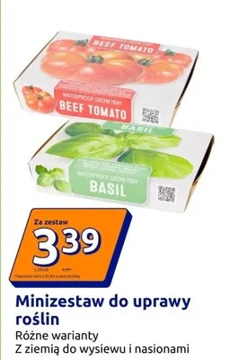 Minizestaw do uprawy roślin - różne warianty z ziemią do wysiewu i nasionami  promocja w Action