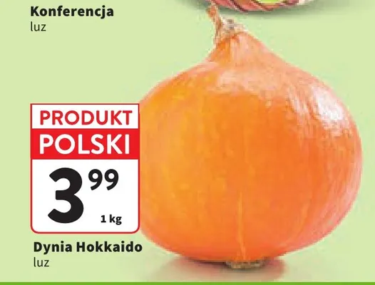 Dynia Hokkaido polska promocja w Intermarche