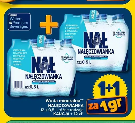 Woda mineralna Nałęczowianka 12-pak 500 ml promocja w Carrefour Market