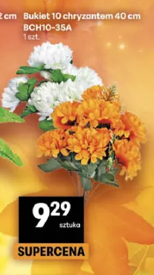 Bukiet 10 chryzantem 40 cm BCH10-35A promocja w Delikatesy Centrum
