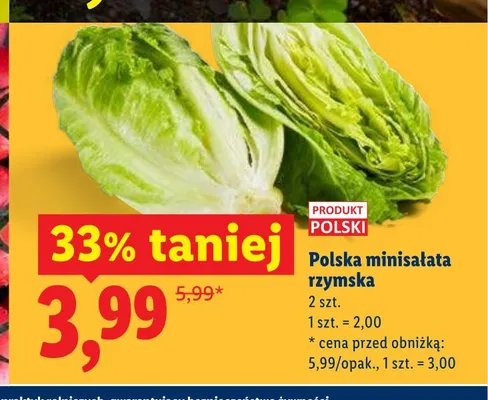 Polska minisałata rzymska promocja w Lidl