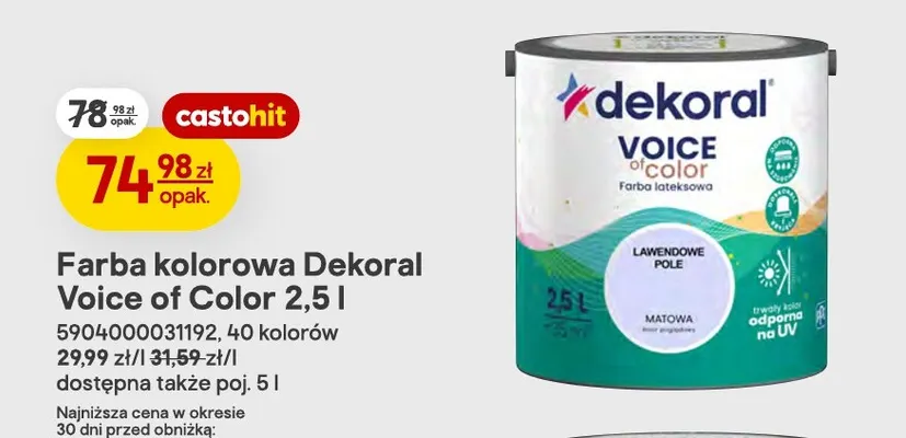 Farba kolorowa Dekoral Voice of Color 2,5 l promocja w Castorama