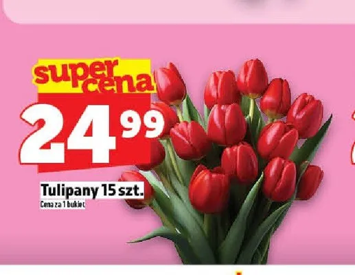Tulipany promocja w TOPAZ