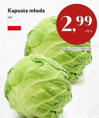 Kapusta młoda polska promocja w Market Point
