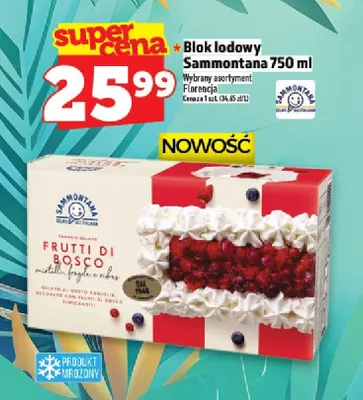 Blok lodowy Sammontana Florencja promocja w TOPAZ