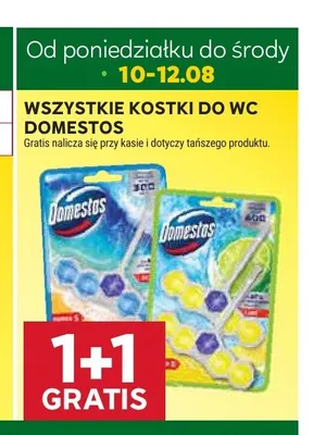Kostka do WC Domestos Power 5 Pine promocja w Stokrotka