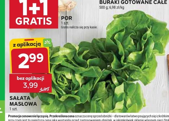 Sałata masłowa promocja w Stokrotka